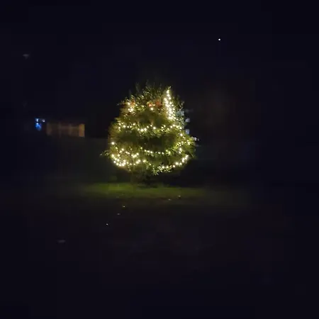 Couette-café Bed Bike