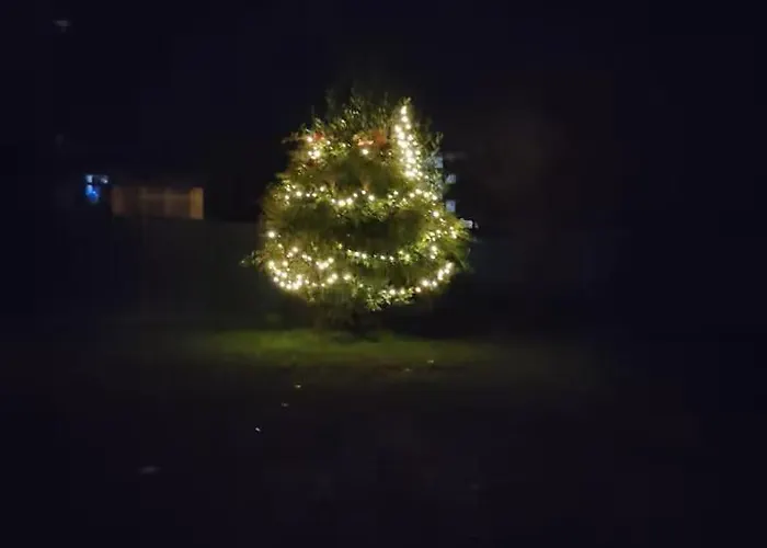 ベッド・アンド・ブレックファスト Bed Bike